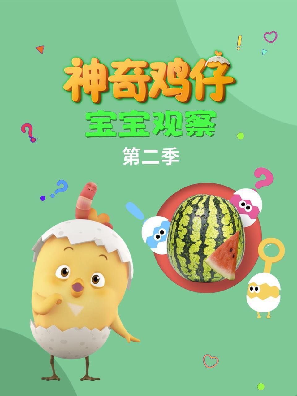 神奇鸡仔宝宝观察2