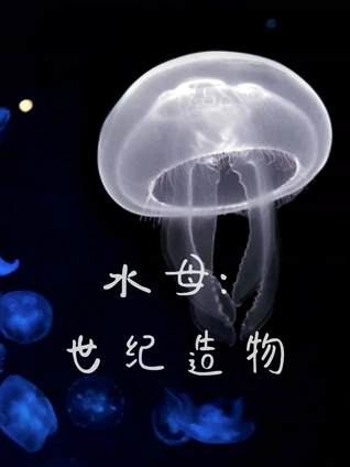 特工佳丽2武力巾帼