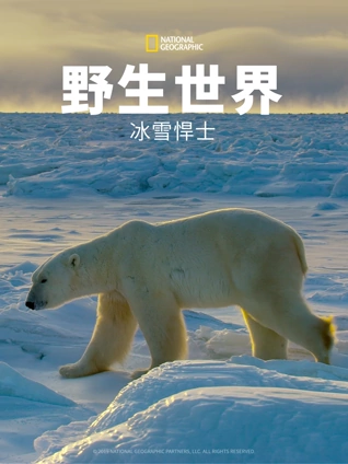 野生世界冰雪悍士