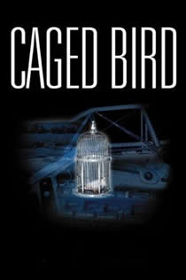 在线播放国产女同闺蜜